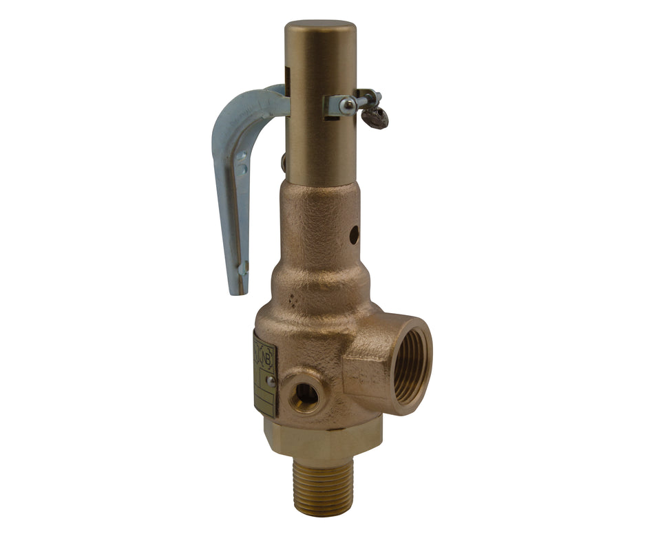 Apollo 19 Series ASME Section I Steam Safety Relief