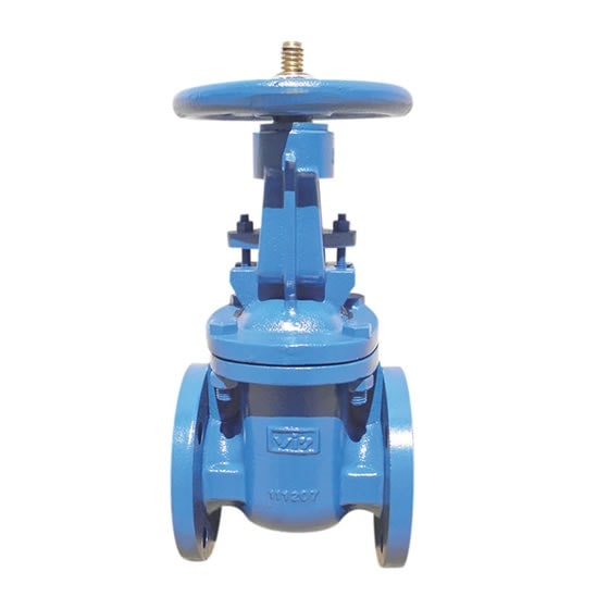 Red-White 421 Iron OS&Y Flanged Gate Valve – 2"–14