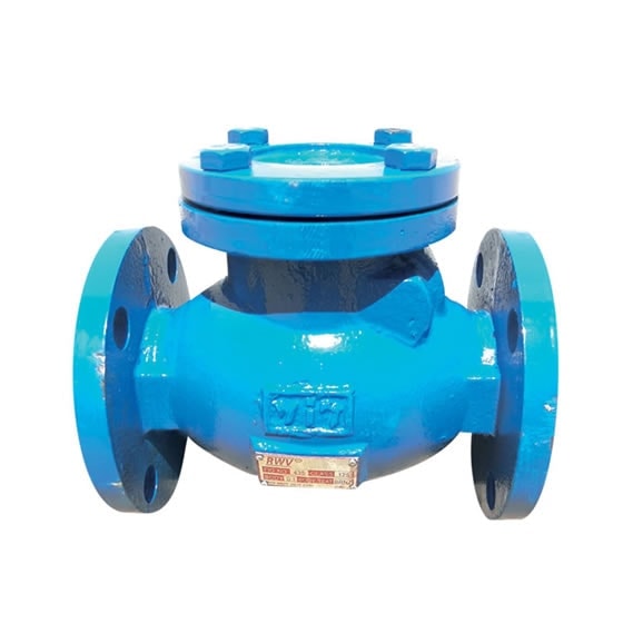 Red-White 435 Iron Swing Check Valve – Flanged – 2"–12