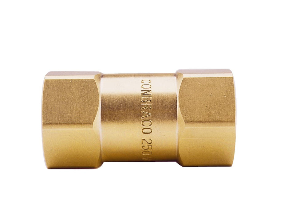 Apollo 61-700 Brass Mini Check Valve – FNPT – Made in USA