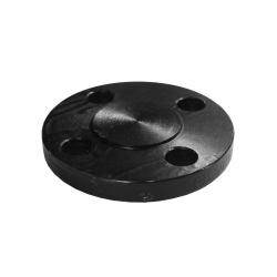 3 316 Ss Blind Flange