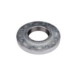 Ductile Iron Flange 2 1/2 Threaded Galv