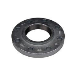 Ductile Iron Flange 2 1/2 150 Threaded