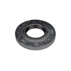 Ductile Iron Flange 12 150 Threaded