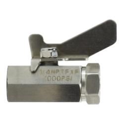 1/2 Fip S.S. Mini Ball Valve