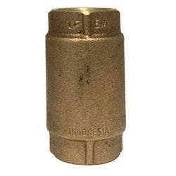1 Lead Free Check Valve
