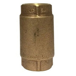 2 Lead Free Check Valve
