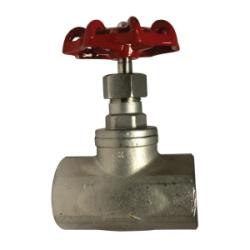 2 316 SS Globe Valve