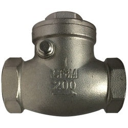 2 316 Ss Swing Check Valve