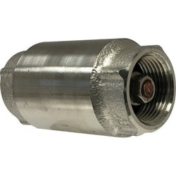 2 Stainless Steel Check Valve