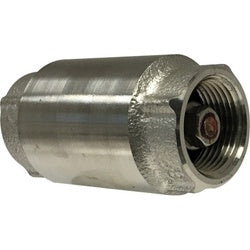 1 Ss Check Valve