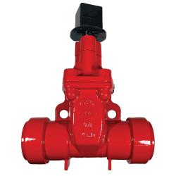 2 Di, Rt X Rt Gate Valve, Nrs W/ Op Nut,