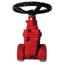 2 Di, Ips X Ips Gate Valve, Nrs With