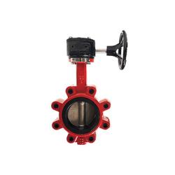 2-1/2 Di Bfv Lug/Gear Ss Disc/Epdm