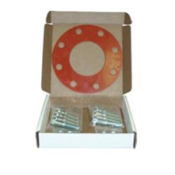 4 Bolt & Gasket Set W/304 Ss Bolts/Nuts