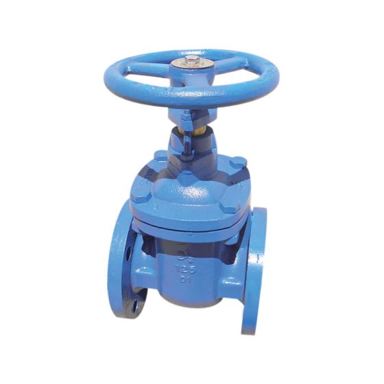 Red-White 415 Iron NRS Flanged Gate Valve – 2"–14