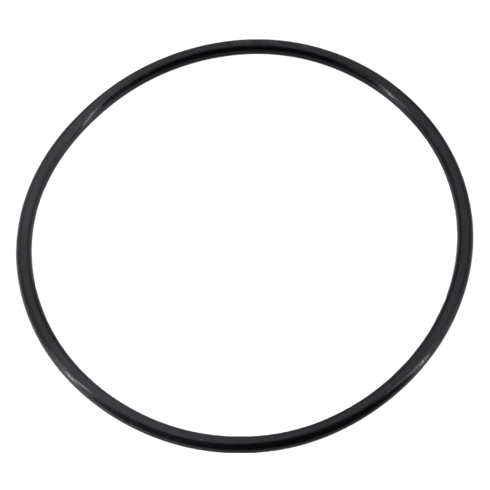 Legend Backwater Valve Lid O-Ring