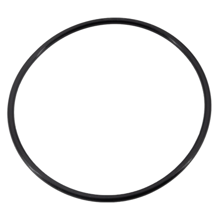 Legend Backwater Valve Lid O-Ring