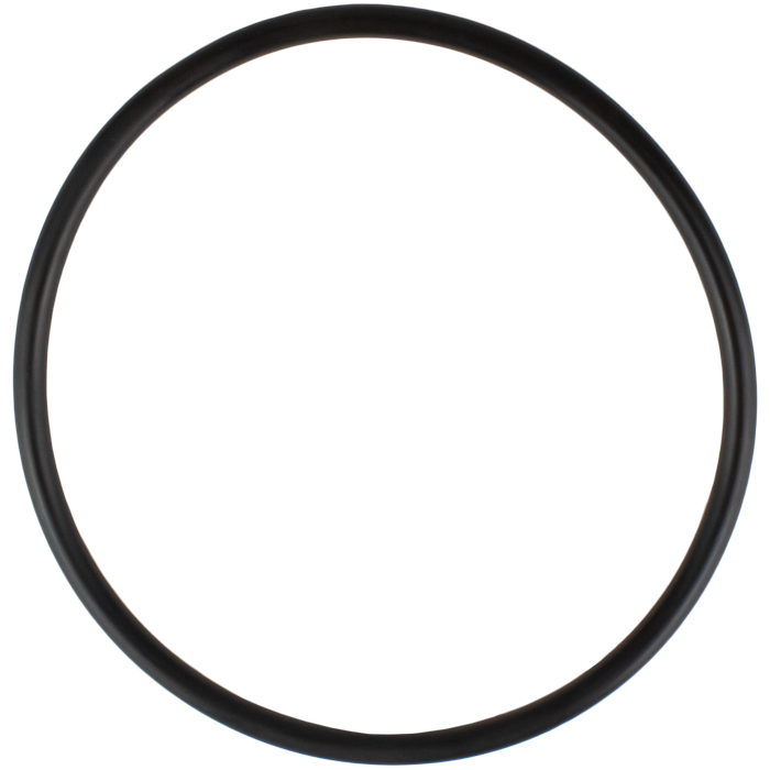 Legend P-200NL O-Ring