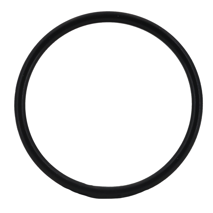 Legend T-554 Manual Drain O-Ring