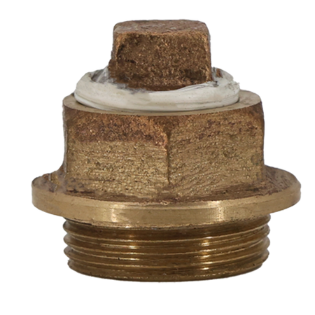 Legend T/S-15 Y-Strainer Cap